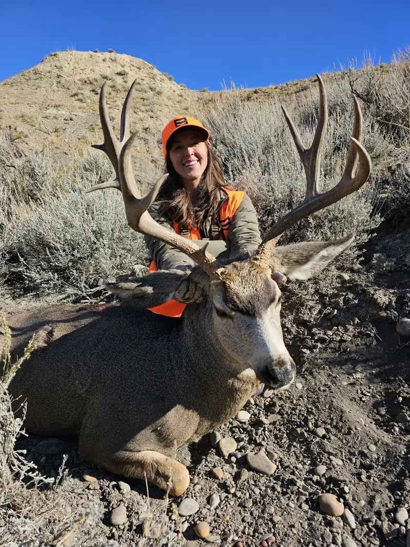 Mule Deer